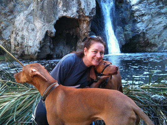 The Ultimate Adventure Dog: Why Vizslas Shine on Outdoor Holiday Escapes