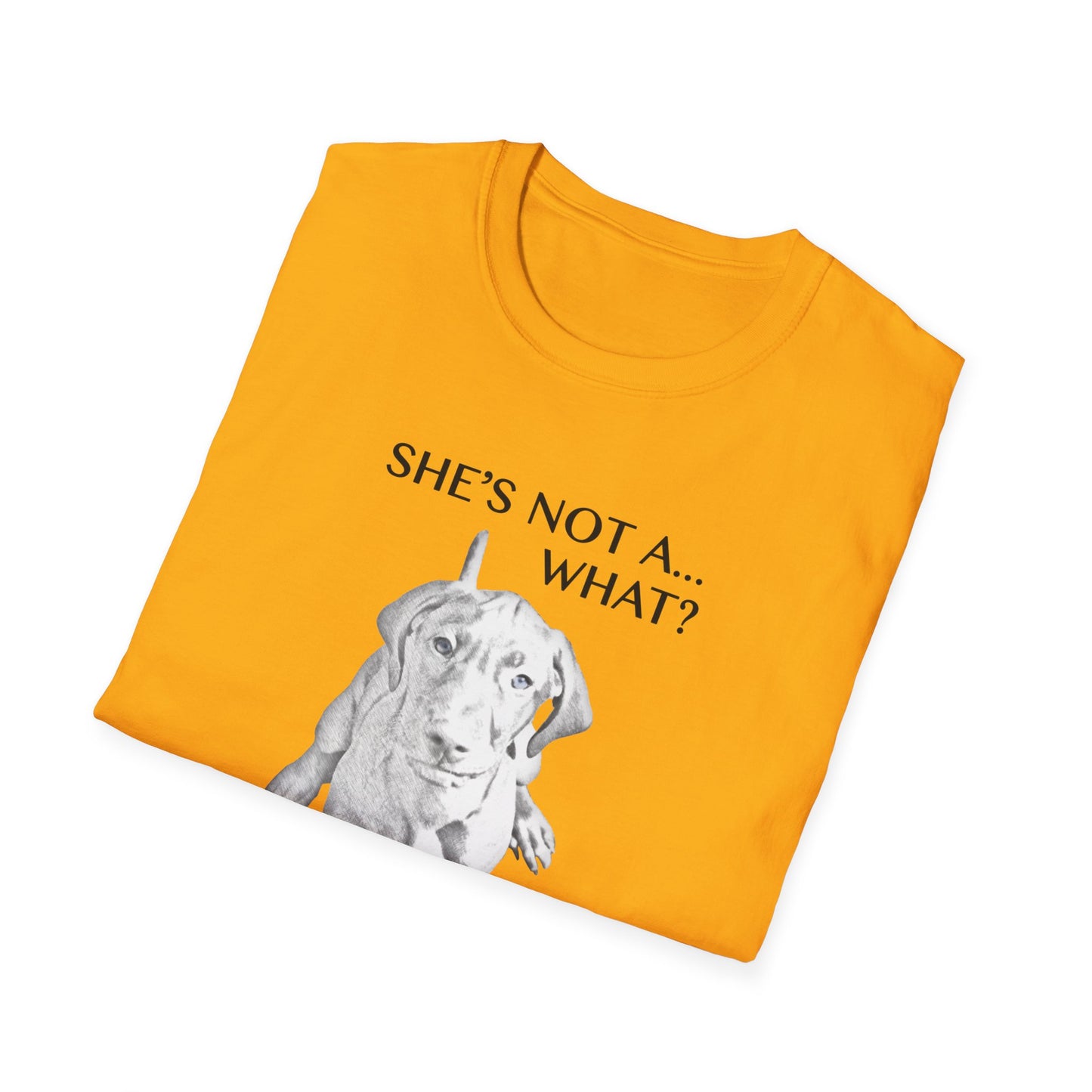 She's Not A What... She's A Vizsla! All Around Sports T-shirt (Dk Text)