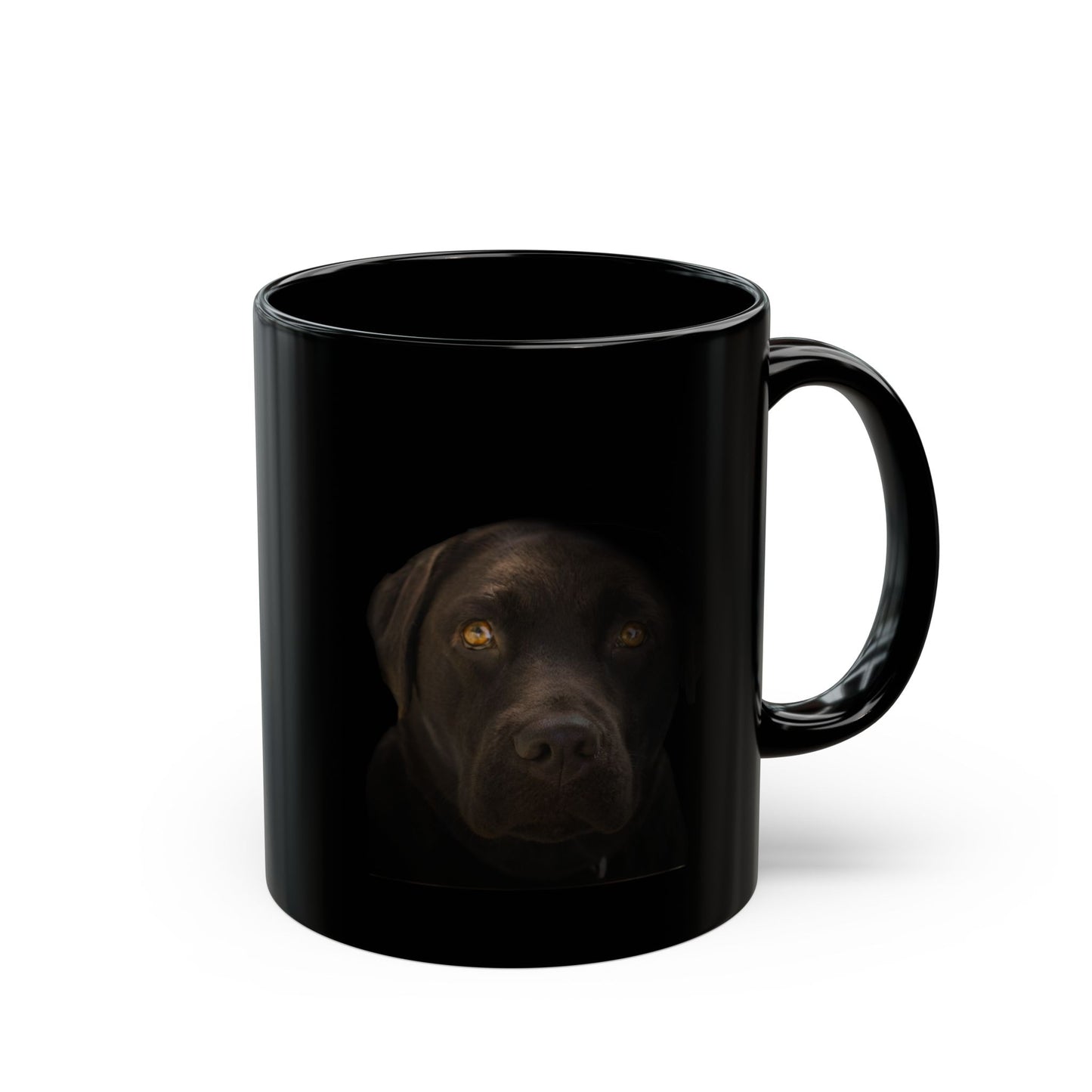 Loyal In Black - The Black Lab