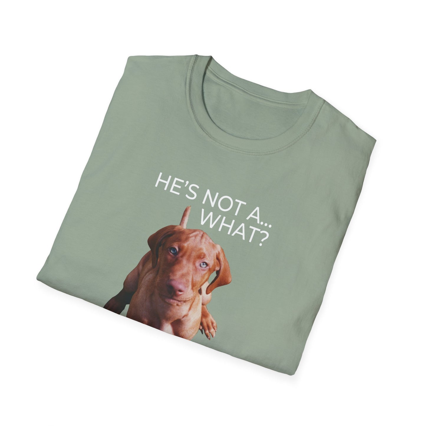 He's Not A What... He's A Vizsla (in Color) - All Around Sports T-shirt (Lt Text)