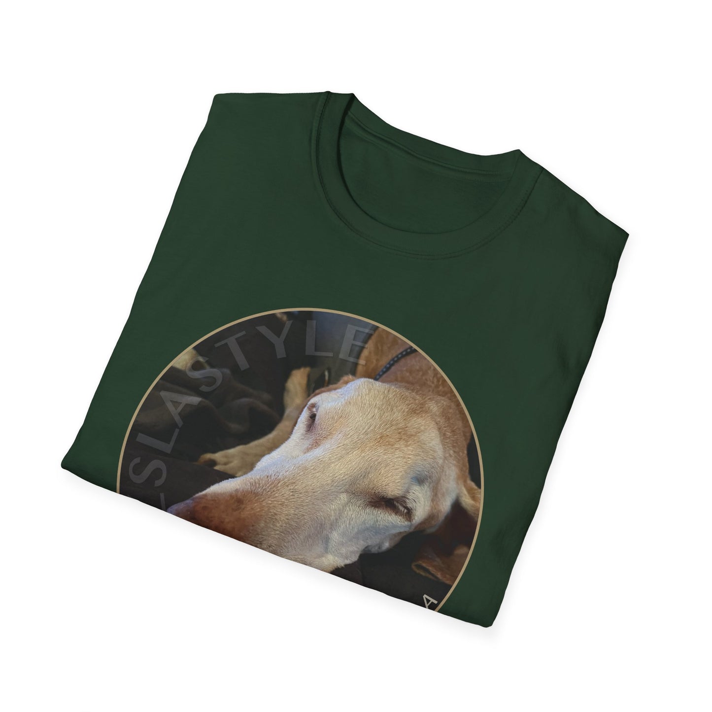 Sugar And Spice Vizsla T-Shirt