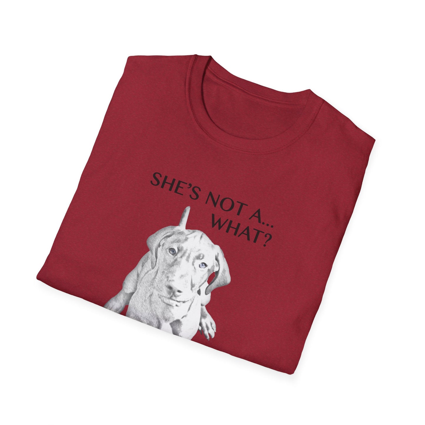 She's Not A What... She's A Vizsla! All Around Sports T-shirt (Dk Text)