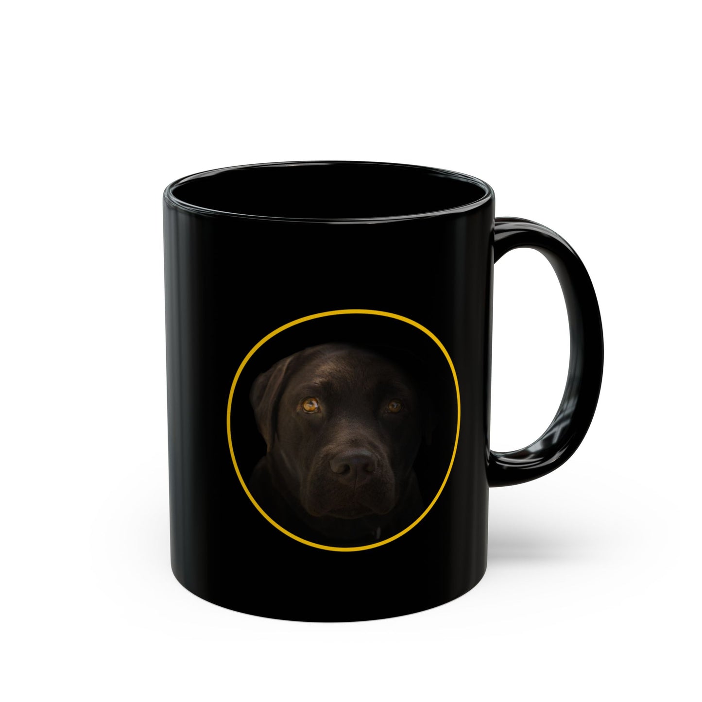 Your Friend - The Black Lab