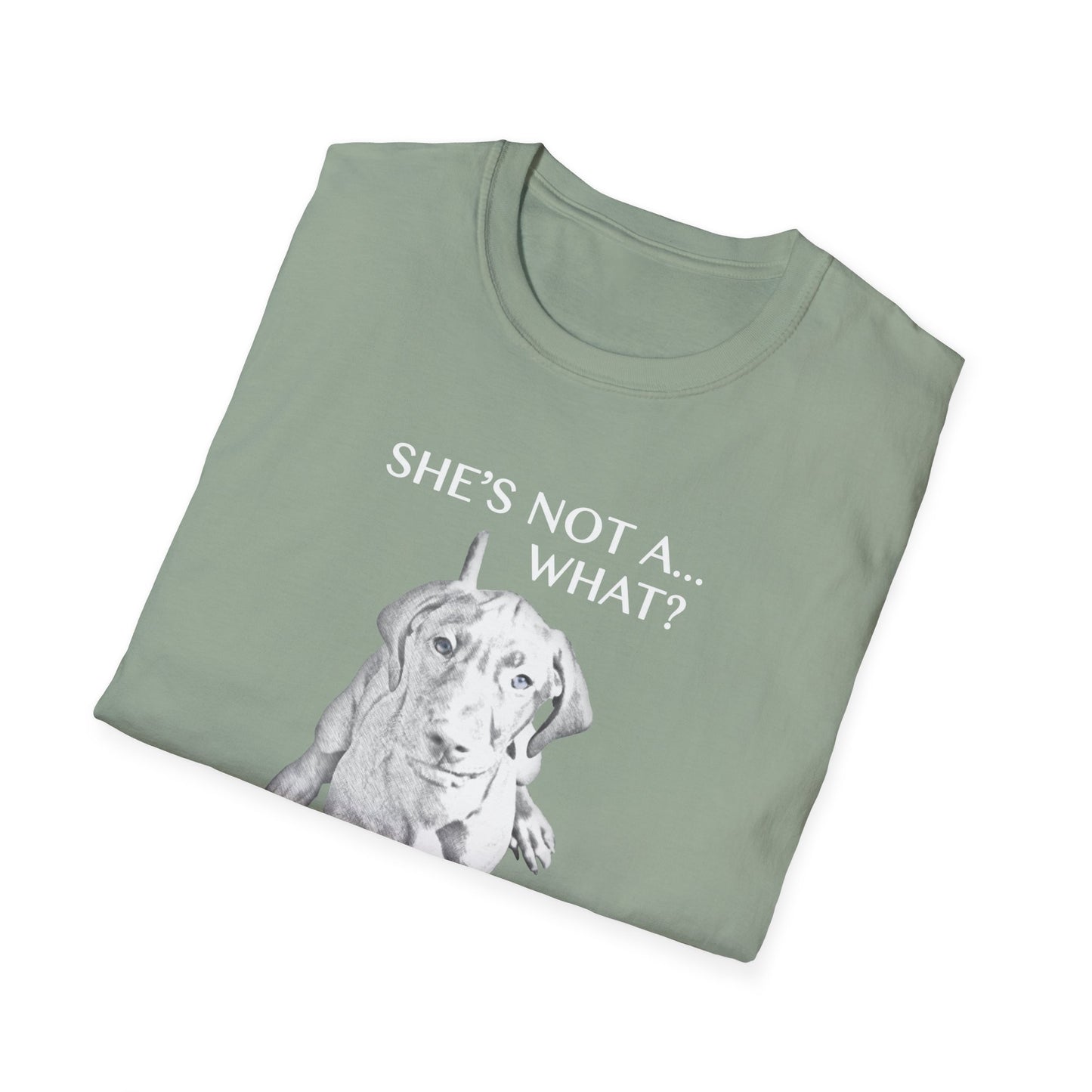 She's Not A What... She's A Vizsla All Around Sports T-shirt (Lt Text)