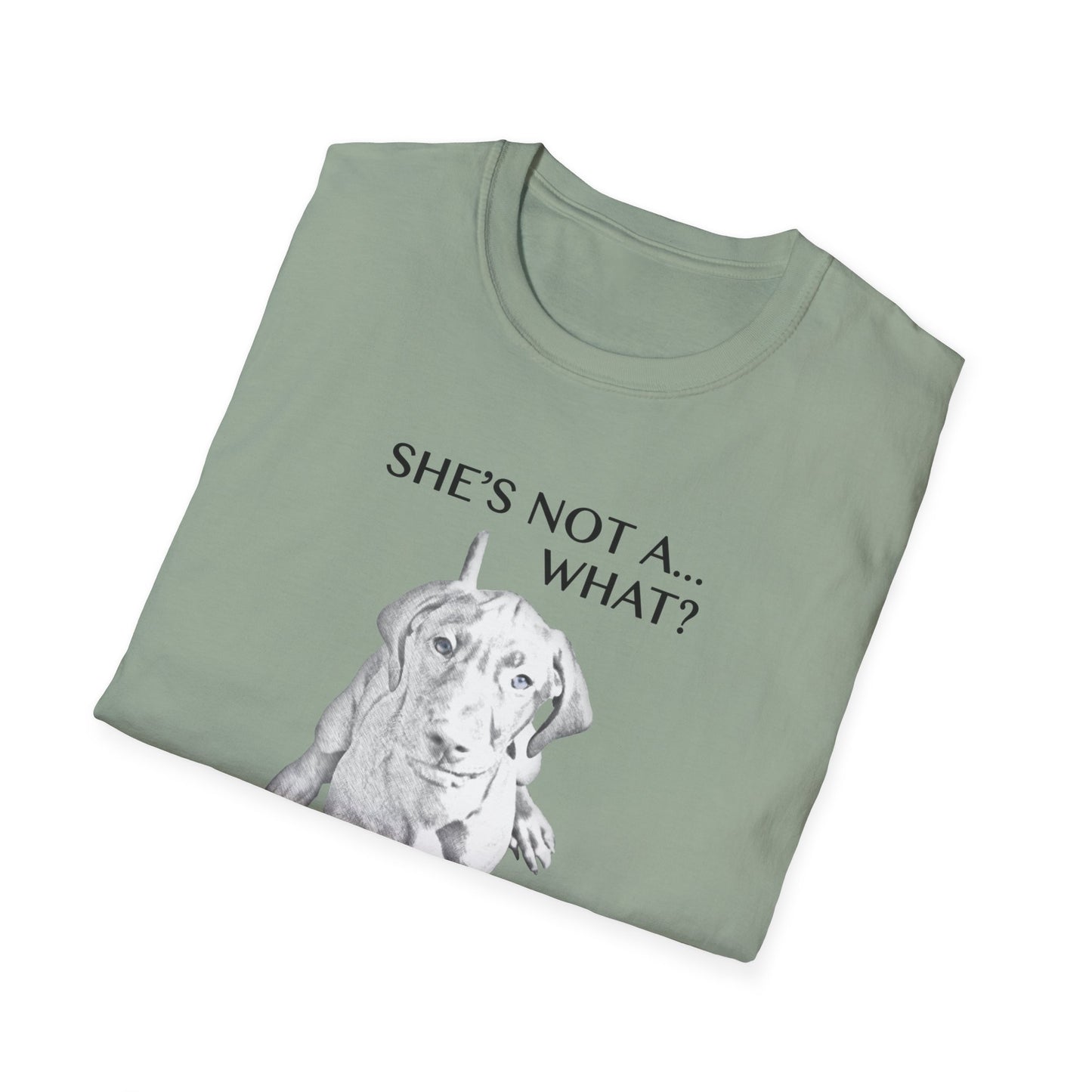 She's Not A What... She's A Vizsla! All Around Sports T-shirt (Dk Text)