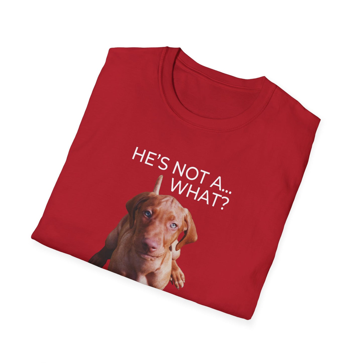 He's Not A What... He's A Vizsla (in Color) - All Around Sports T-shirt (Lt Text)