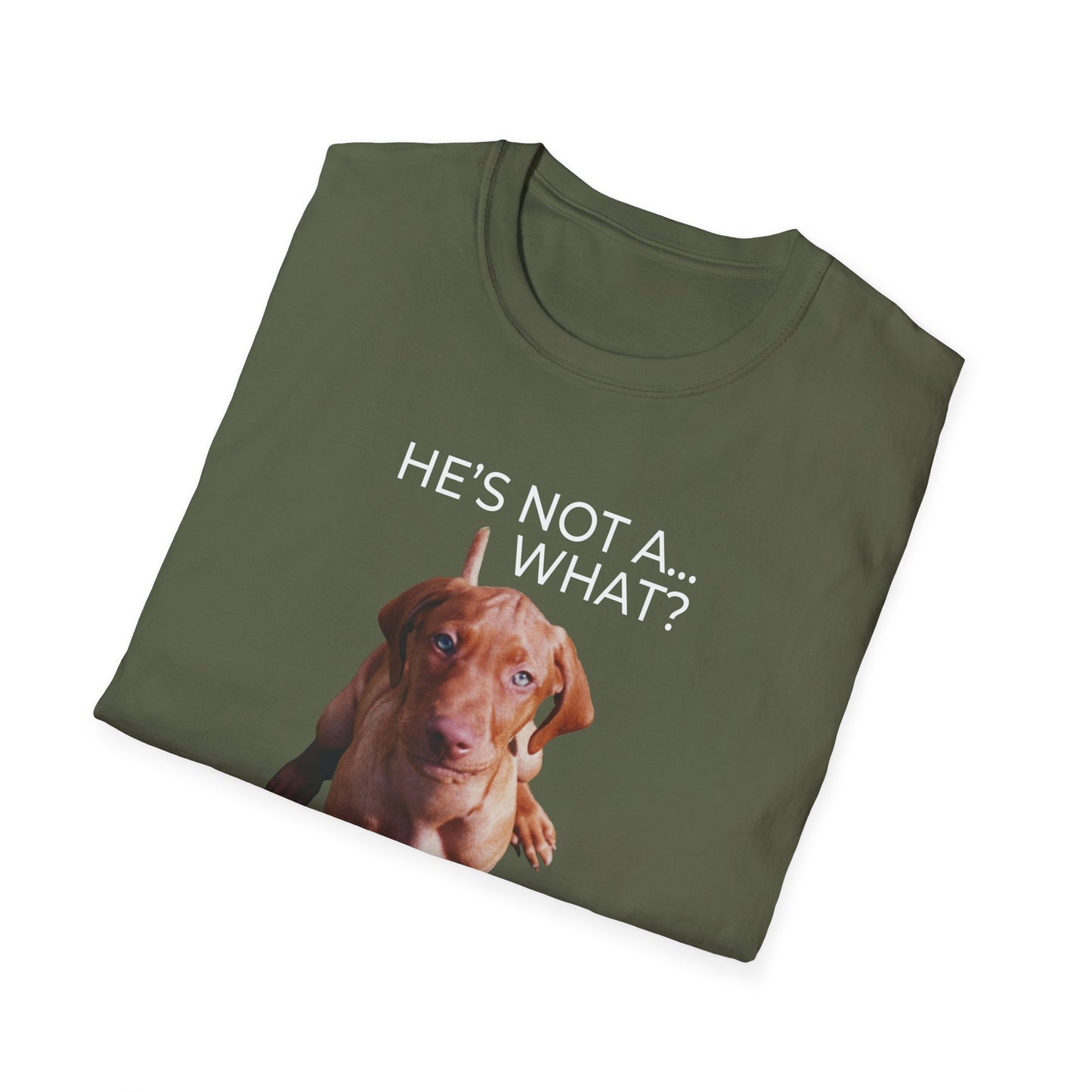 He's Not A What... He's A Vizsla (in Color) - All Around Sports T-shirt (Lt Text)