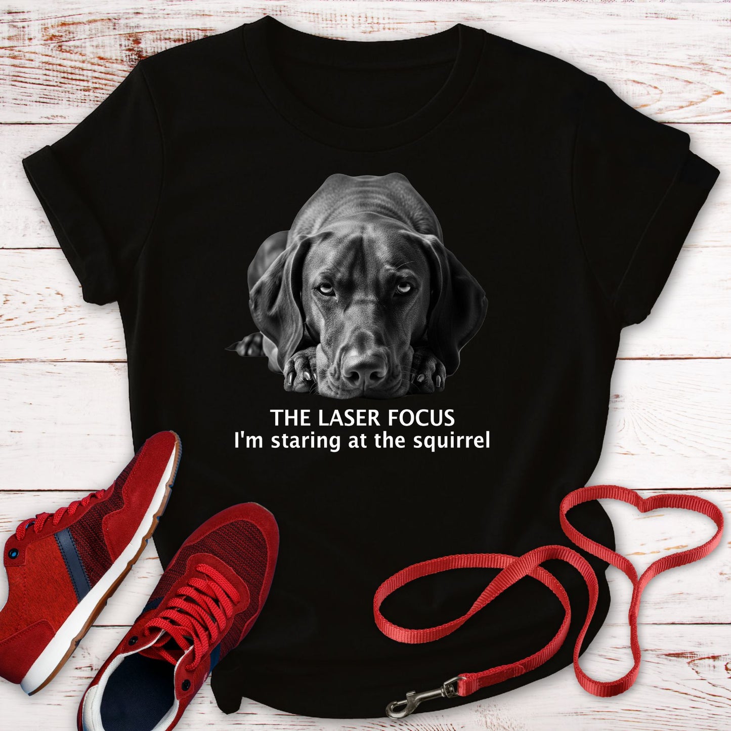 The Vizsla Laser Focus: I'm Staring at The Squirrel