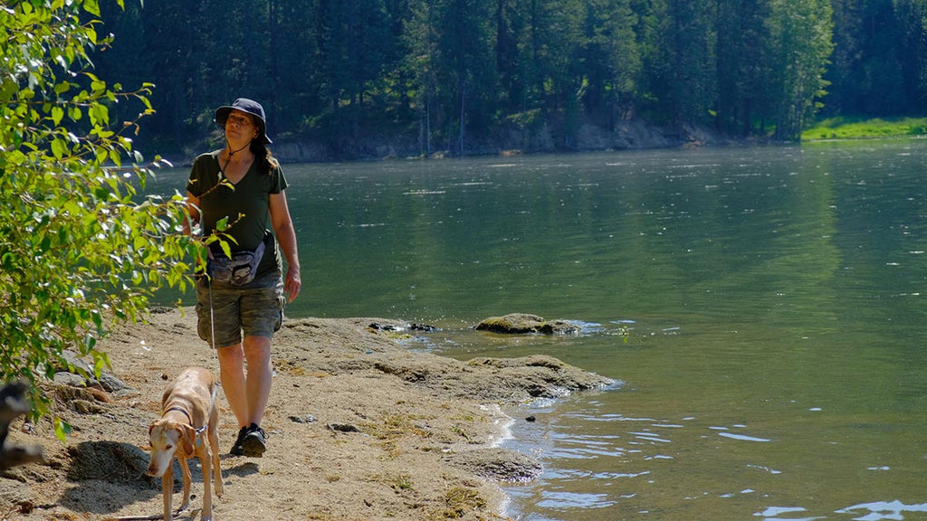 Beat the Heat: Best Summer Activities for Your Energetic Vizsla