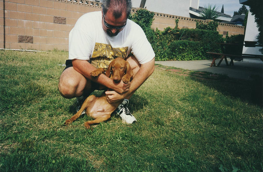 A Vizsla Dad's Best Friend: Celebrating Him This Father's Day