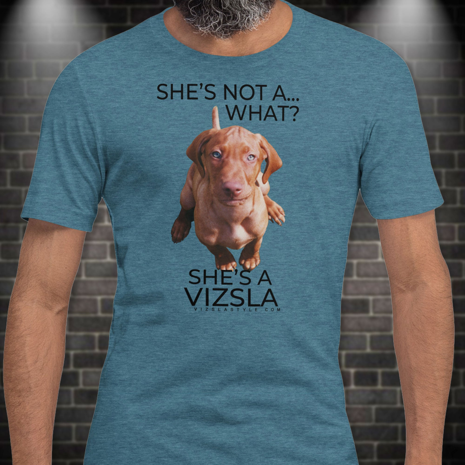 She's Not A What... She's A Vizsla!