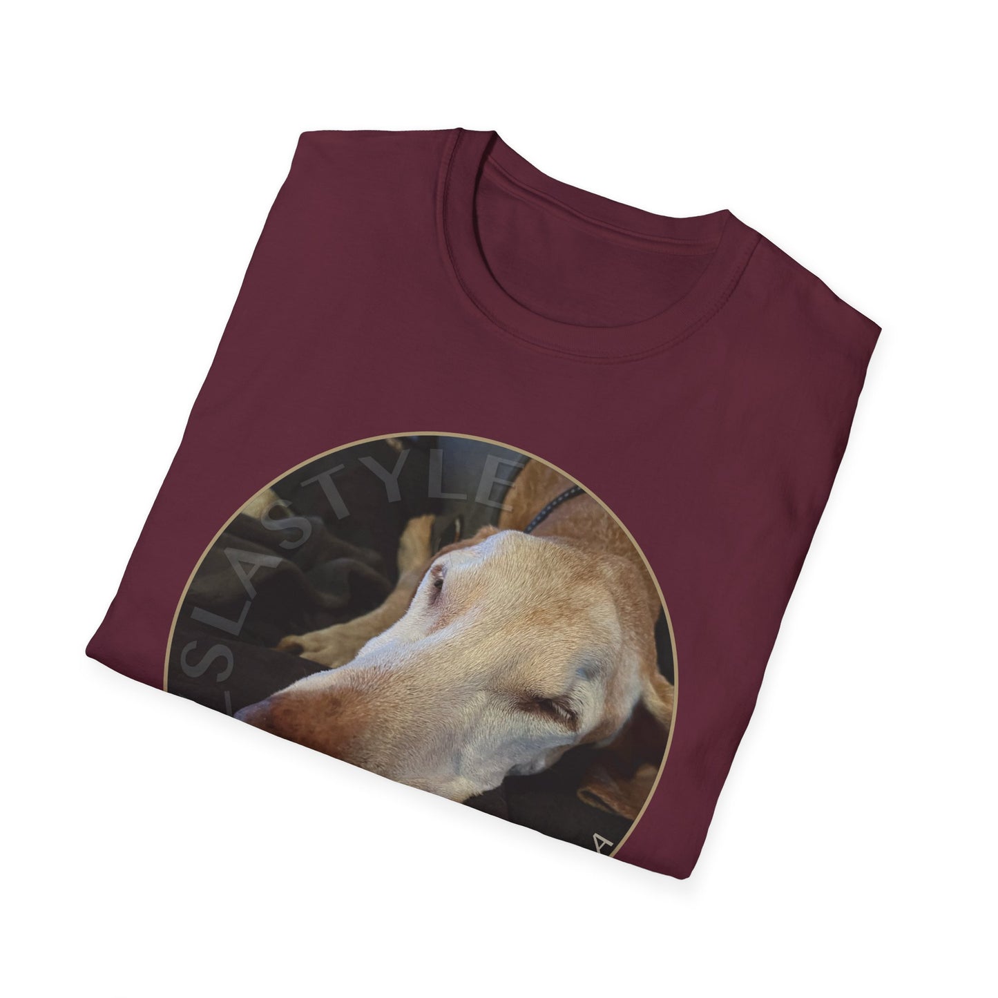 Sugar And Spice Vizsla T-Shirt