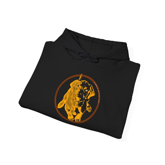 Vizsla Puppy! Hoodie