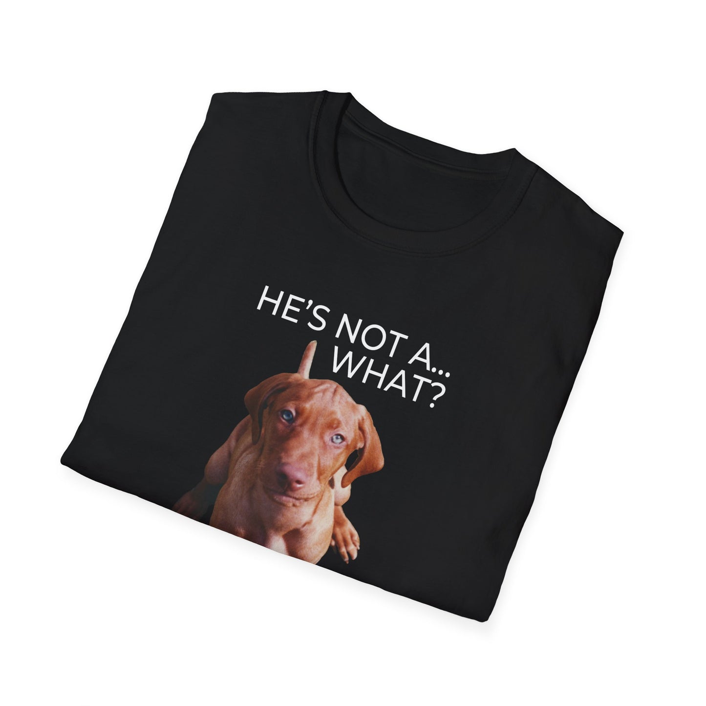 He's Not A What... He's A Vizsla (in Color) - All Around Sports T-shirt (Lt Text)