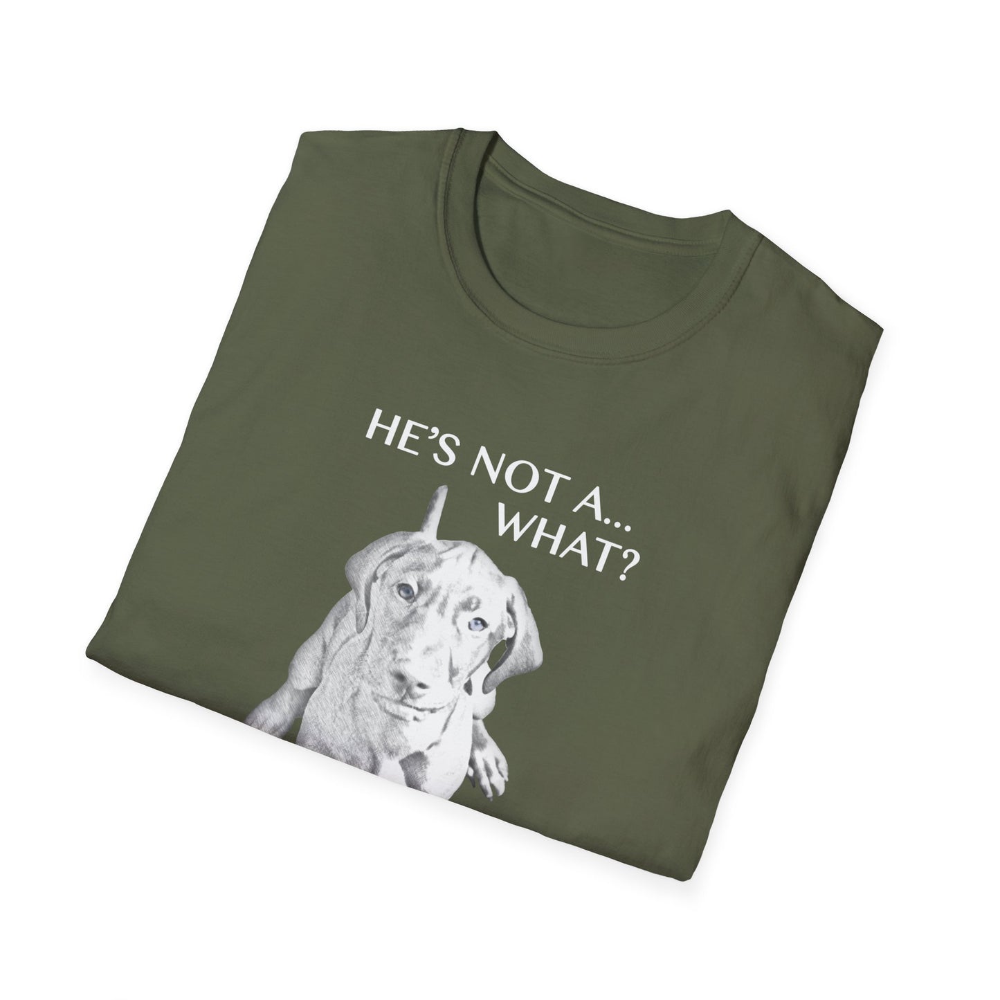 He's Not A What... He's A Vizsla - All Around Sports T-shirt (Lt Text)