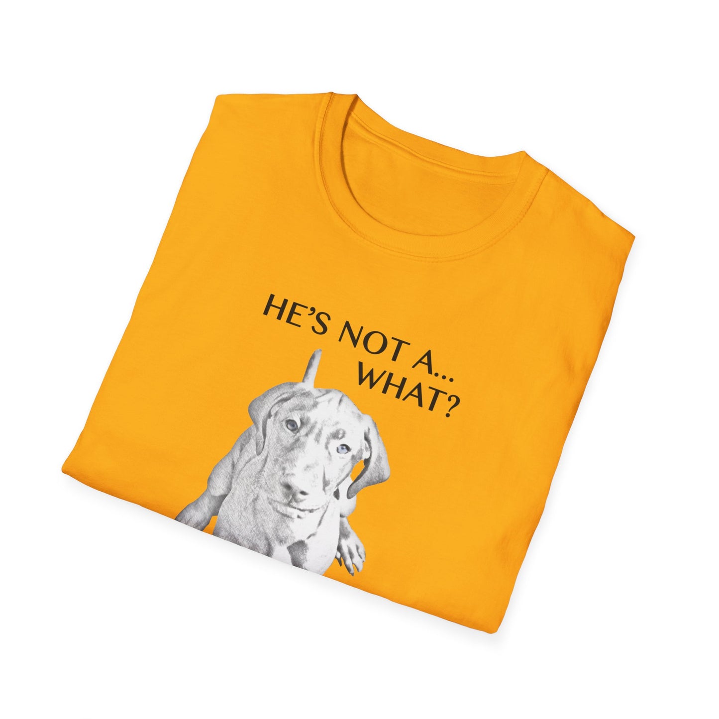 He's Not A What... He's A Vizsla - All Around Sports T-shirt (Dk Text)