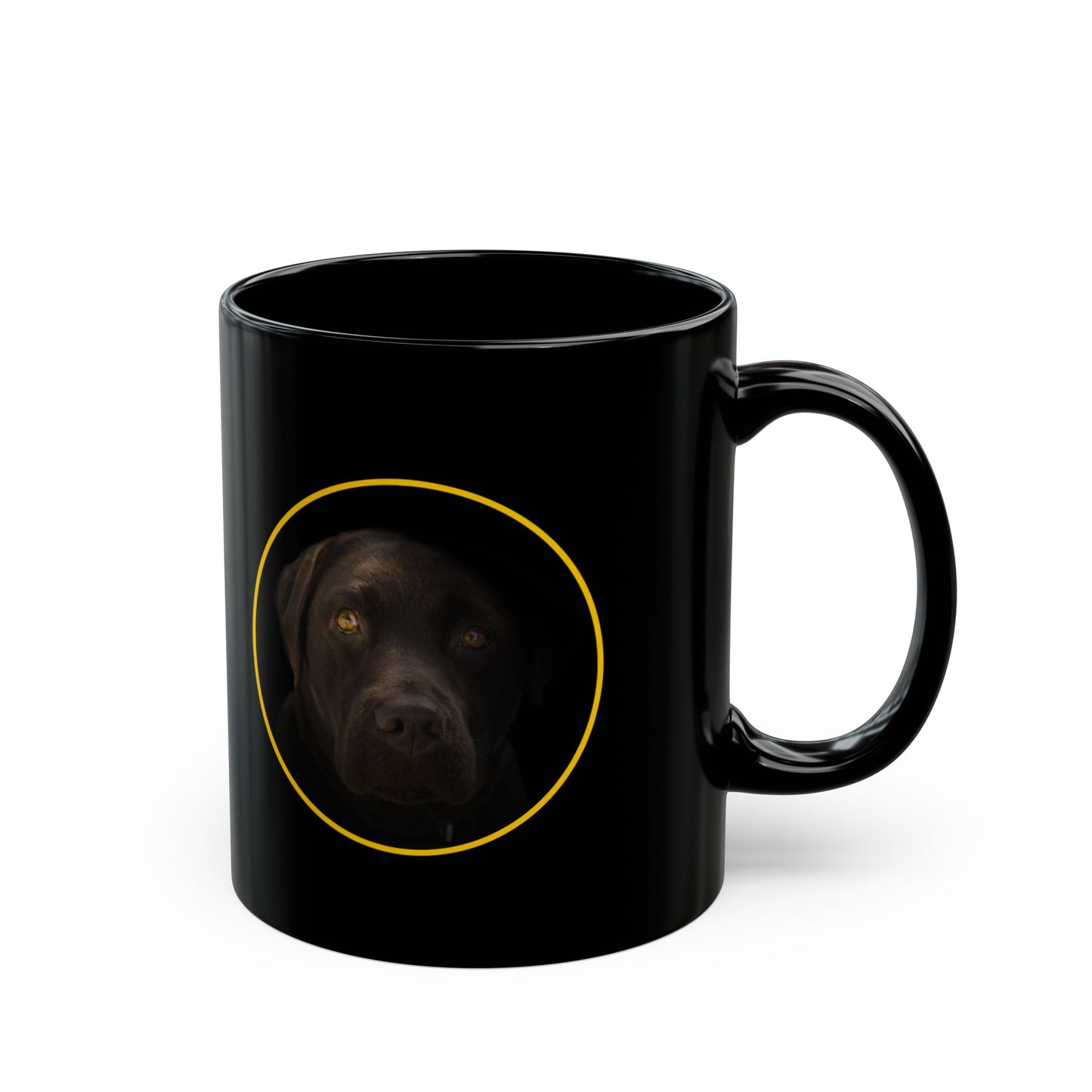 Your Friend - The Black Lab