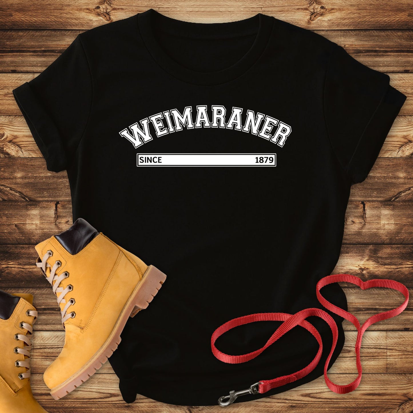 Weimaraner Since 1879: The Silver Ghost Legacy