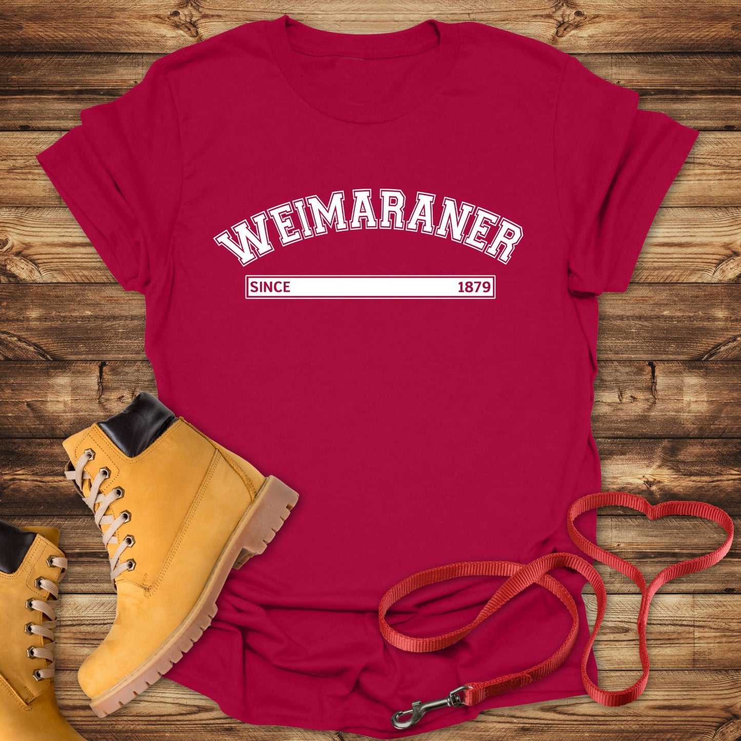 Weimaraner Since 1879: The Silver Ghost Legacy