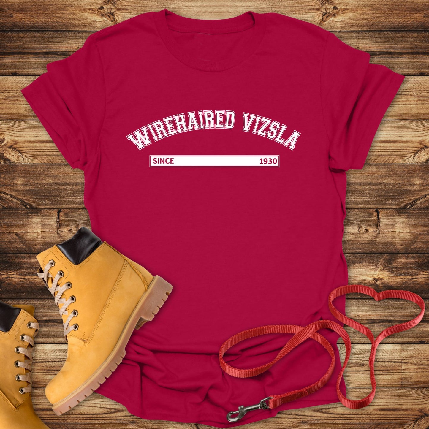 Wirehaired Vizsla Since 1930: Rugged Hungarian Heritage