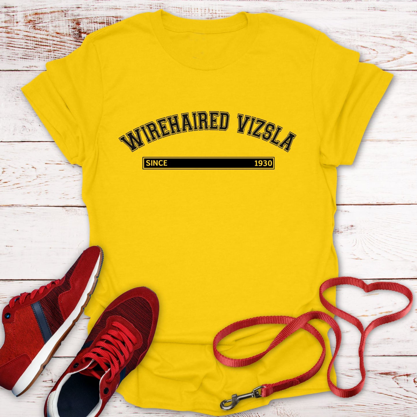 Wirehaired Vizsla Since 1930: Rugged Hungarian Heritage