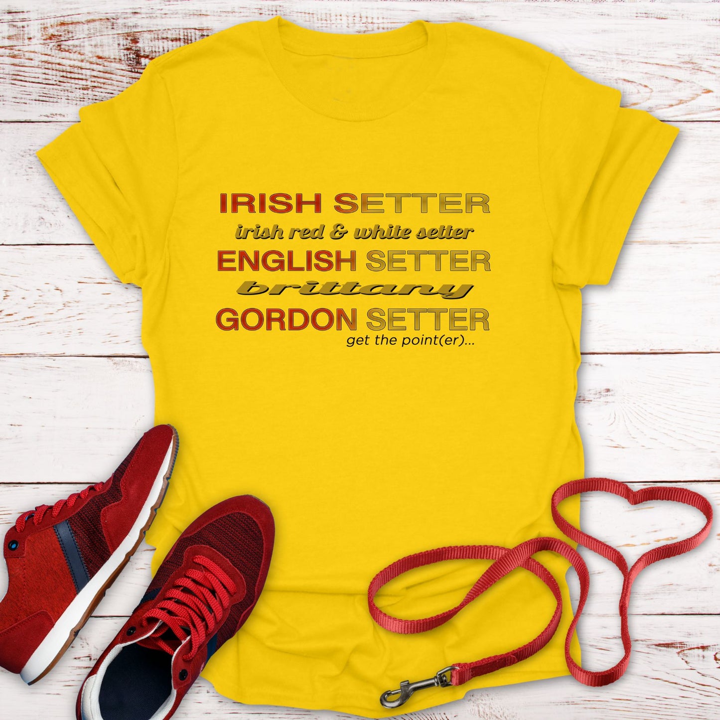 Get the Setter: Elegant Hunting Dog Breeds List