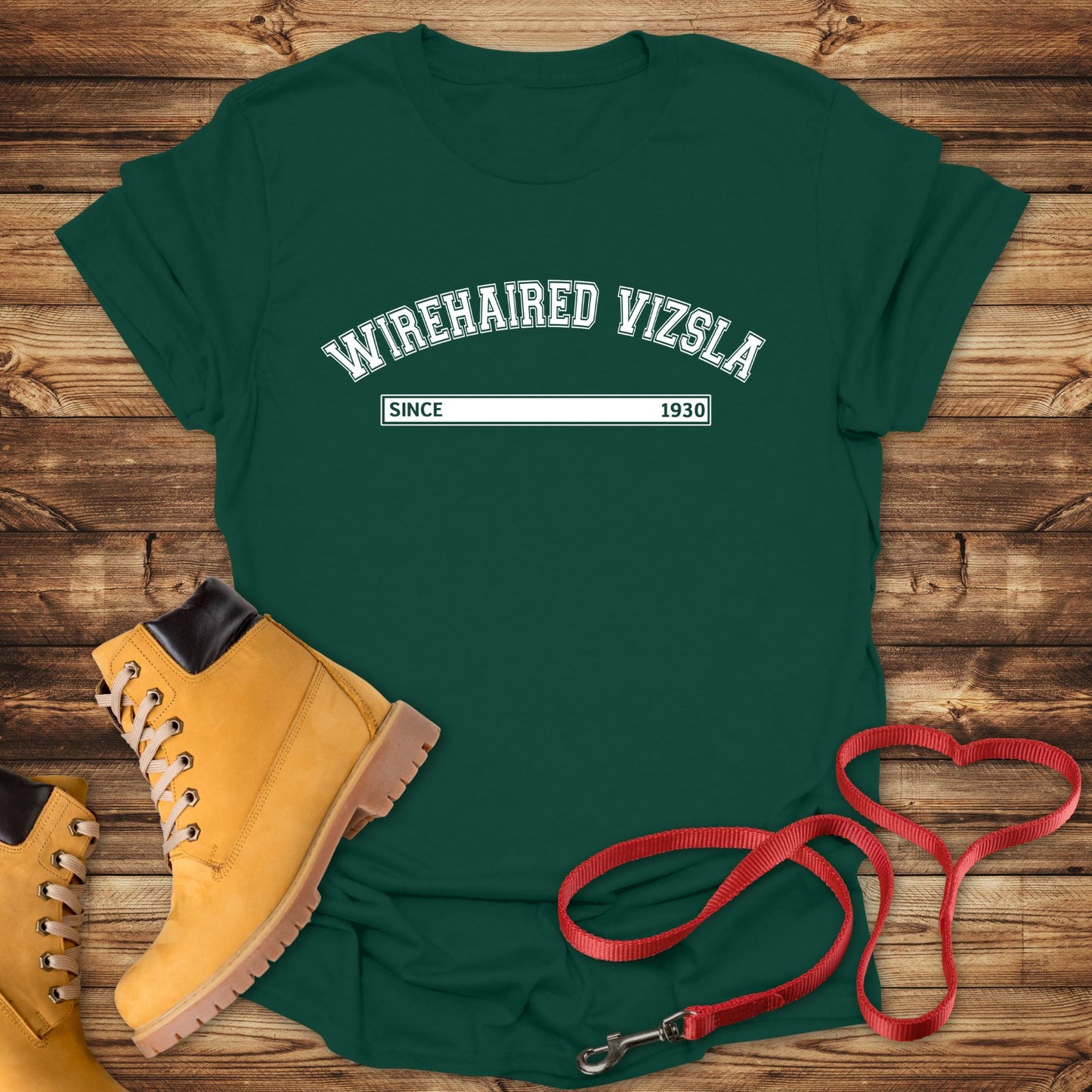 Wirehaired Vizsla Since 1930: Rugged Hungarian Heritage