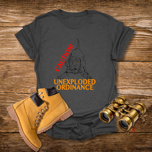 Unexploded Ordinance