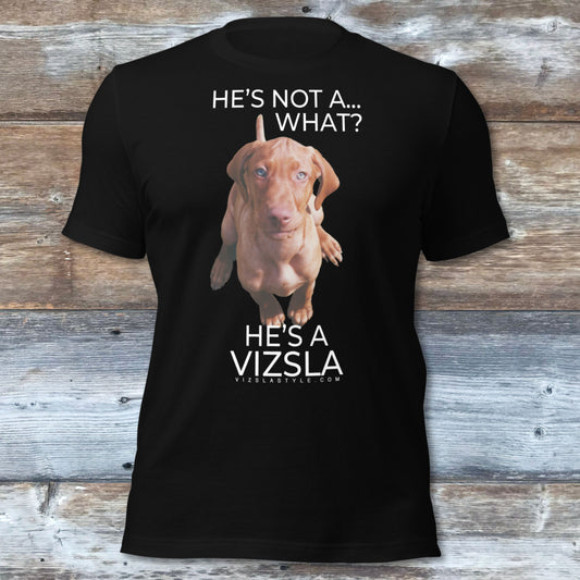 He's Not A What... He's A Vizsla (in Color) - All Around Sports T-shirt (Lt Text)