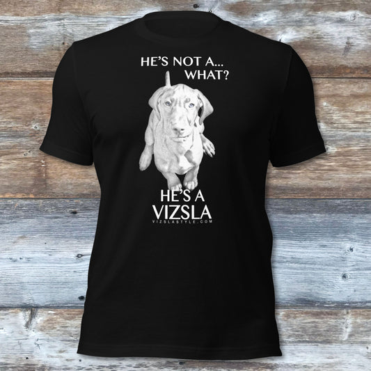 He's Not A What... He's A Vizsla - All Around Sports T-shirt (Lt Text)
