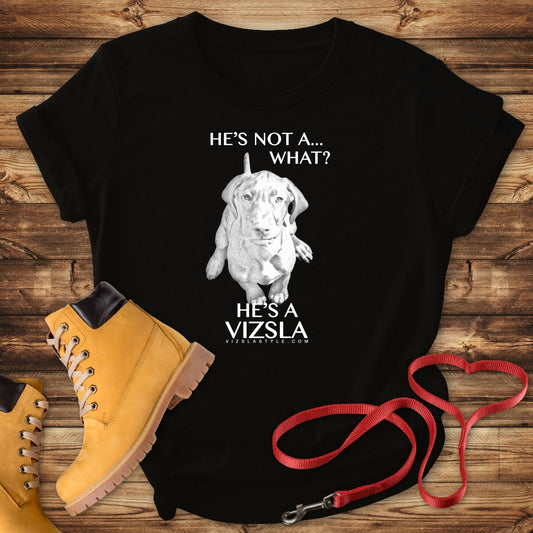 He's Not A What... He's A Vizsla - All Around Sports T-shirt