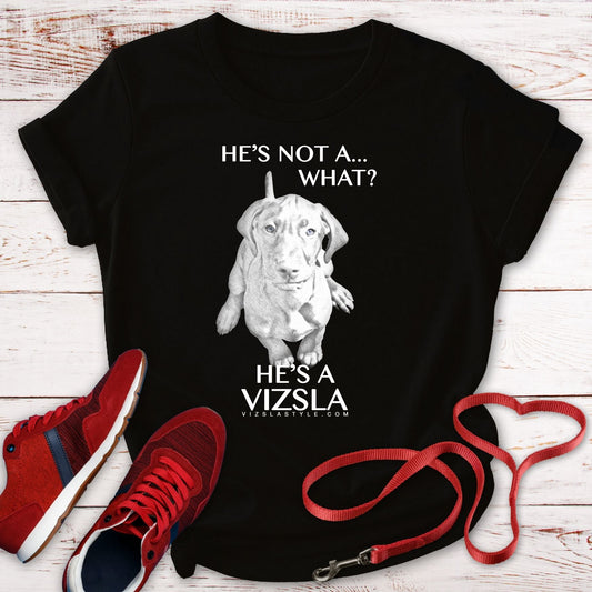 He's Not A What... He's A Vizsla - All Around Sports T-shirt