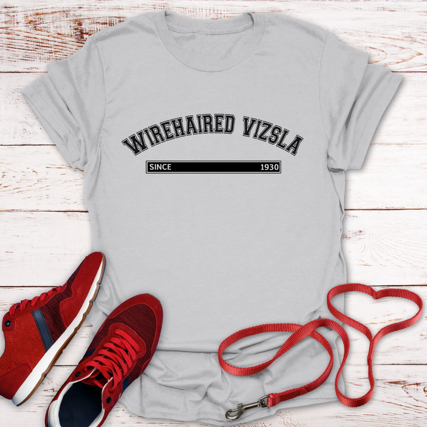 Wirehaired Vizsla Since 1930: Rugged Hungarian Heritage