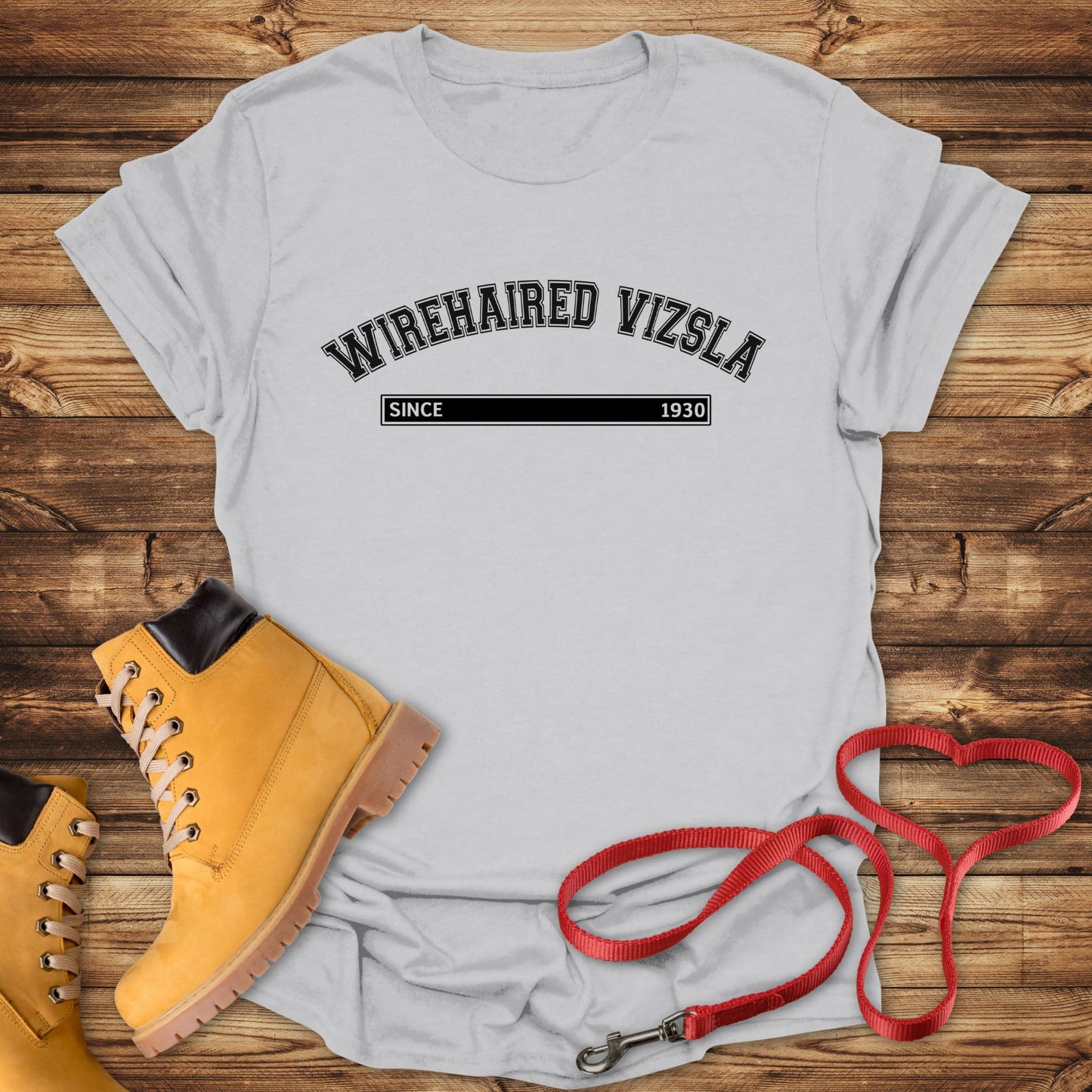 Wirehaired Vizsla Since 1930: Rugged Hungarian Heritage