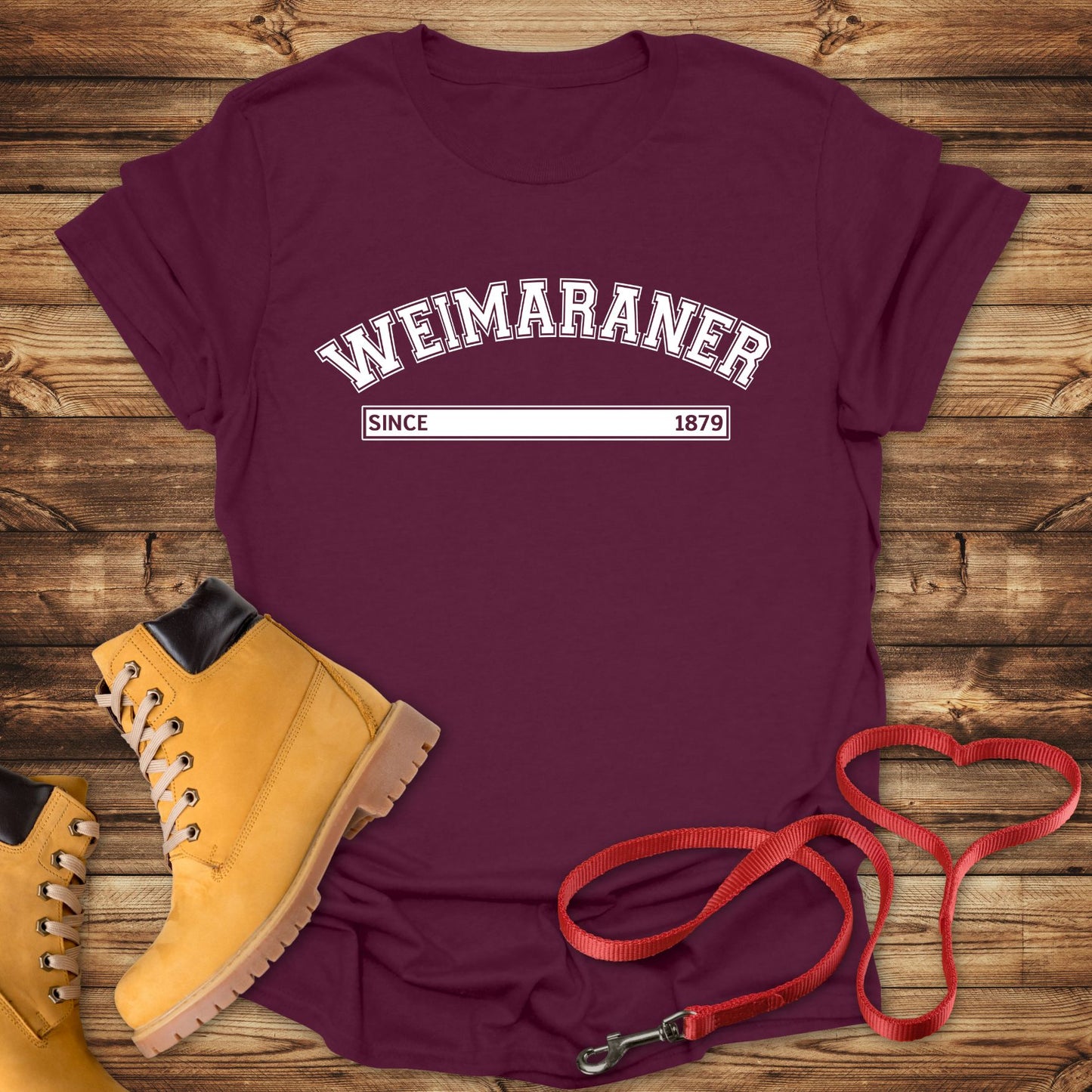 Weimaraner Since 1879: The Silver Ghost Legacy