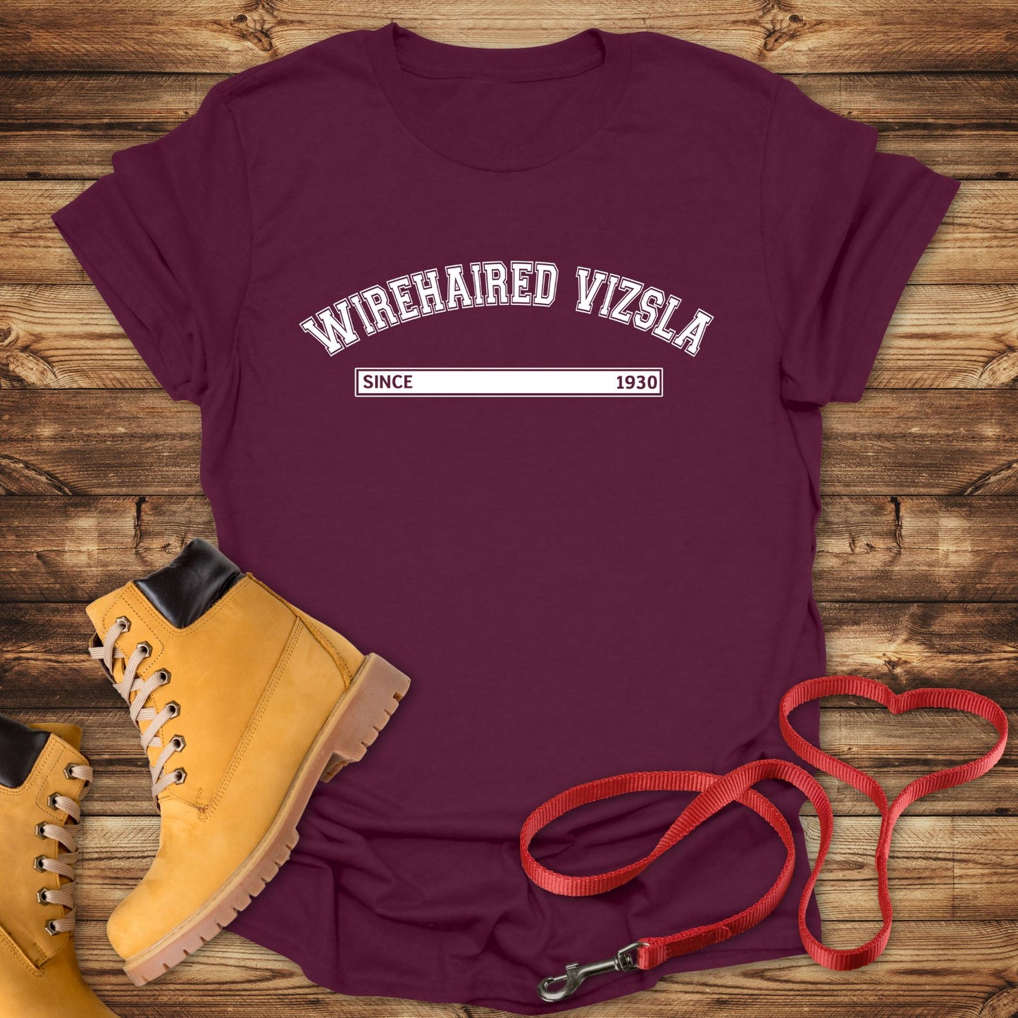 Wirehaired Vizsla Since 1930: Rugged Hungarian Heritage