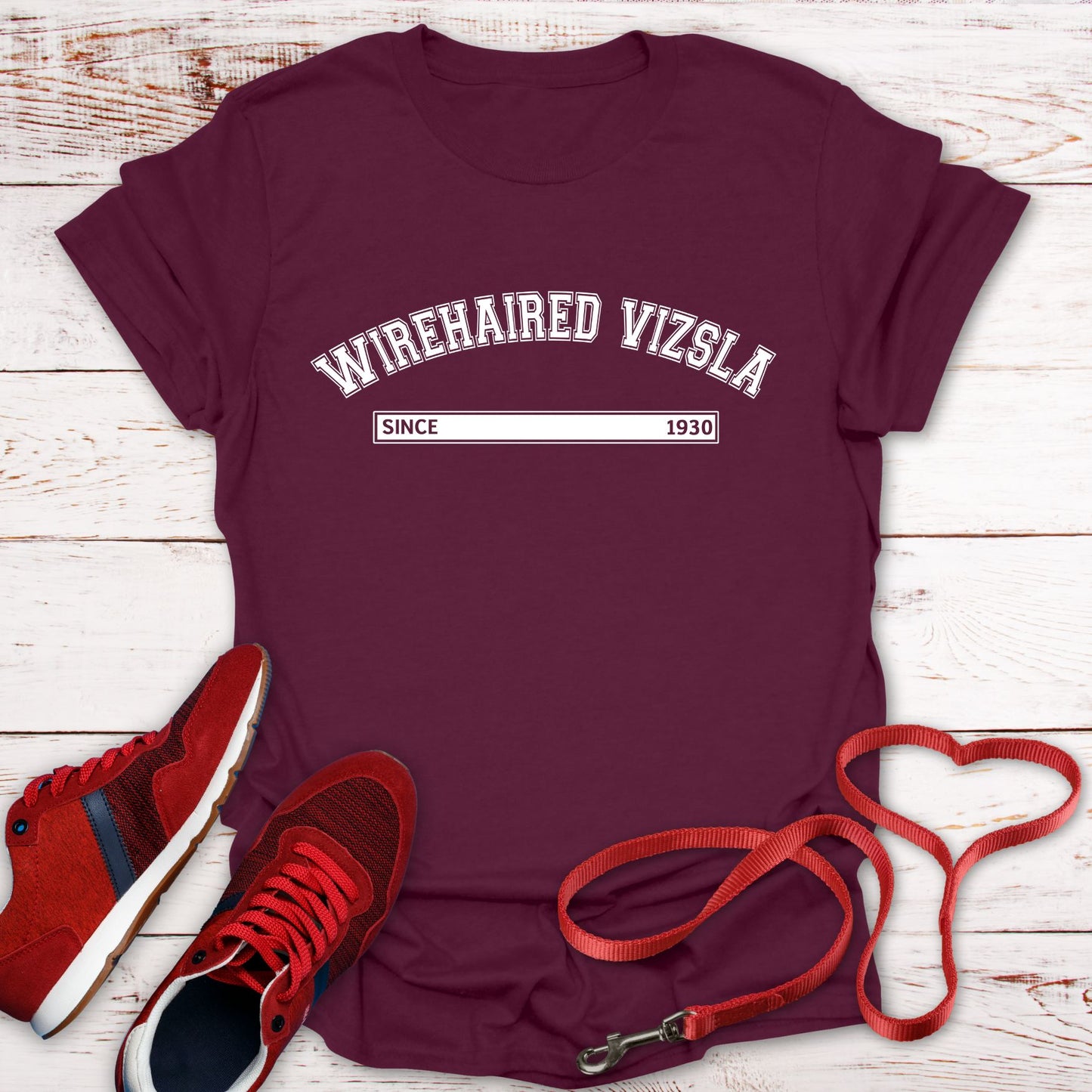 Wirehaired Vizsla Since 1930: Rugged Hungarian Heritage