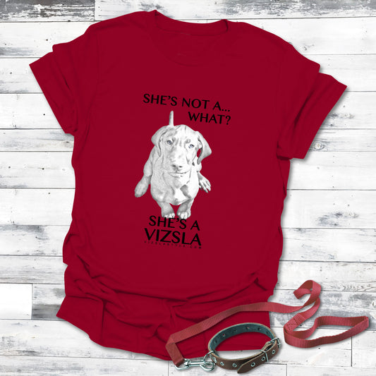She's Not A What... She's A Vizsla! All Around Sports T-shirt (Dk Text)