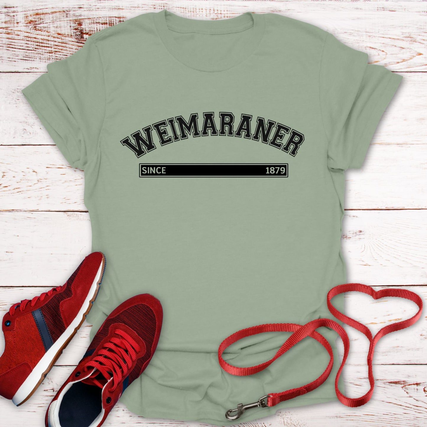 Weimaraner Since 1879: The Silver Ghost Legacy