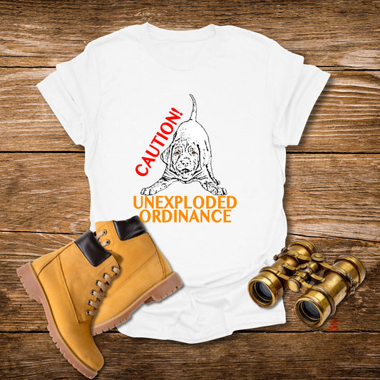 Unexploded Ordinance