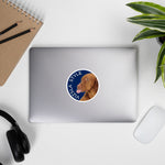 It's All About Tucker stickers - Vizsla Style