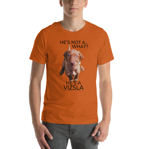 He's Not A What... He's A Vizsla (in Color) - All Around Sports T-shirt (Dk Text)