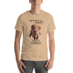 He's Not A What... He's A Vizsla (in Color) - All Around Sports T-shirt (Dk Text)