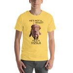 He's Not A What... He's A Vizsla (in Color) - All Around Sports T-shirt (Dk Text)