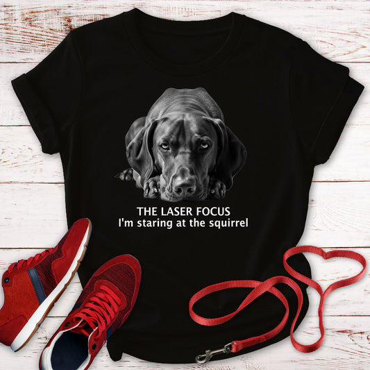 The Vizsla Laser Focus: I'm Staring at The Squirrel