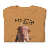 He's Not A What... He's A Vizsla (in Color) - All Around Sports T-shirt (Dk Text)