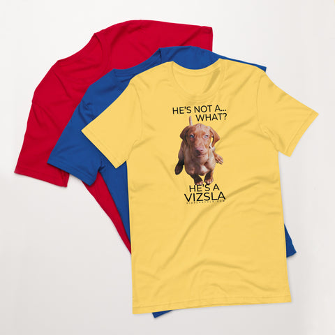 He's Not A What... He's A Vizsla (in Color) - All Around Sports T-shirt (Dk Text)