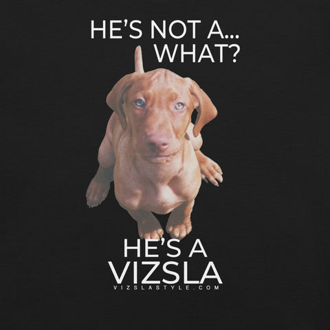 He's Not A What... He's A Vizsla (in Color) - All Around Sports T-shirt (Lt Text)
