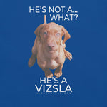 He's Not A What... He's A Vizsla (in Color) - All Around Sports T-shirt (Lt Text)