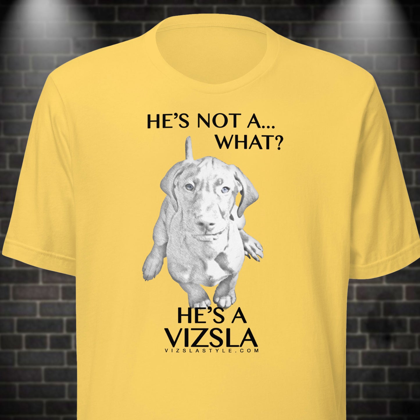 He's Not A What... He's A Vizsla - All Around Sports T-shirt (Dk Text)